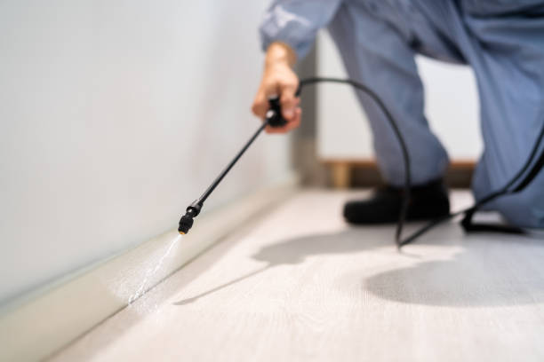 Professional exterminator conducting IPM assessment in Hibbing